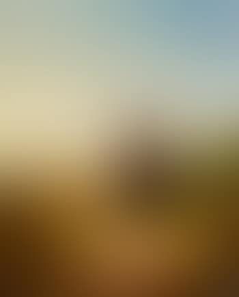Interrupted contemplation (preview)