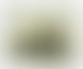 Peinture (preview)