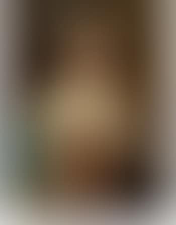 Portrait of a noblewoman (preview)
