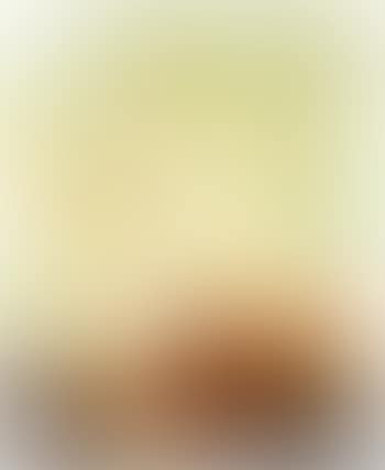 Composition (preview)