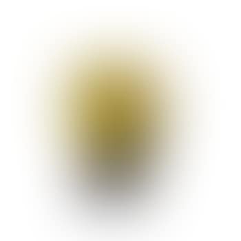 Monnaie du pape vase ,
1905
-
1910 (preview)
