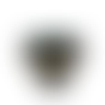 Plaqueminier du Japon vase ,
1912 (preview)