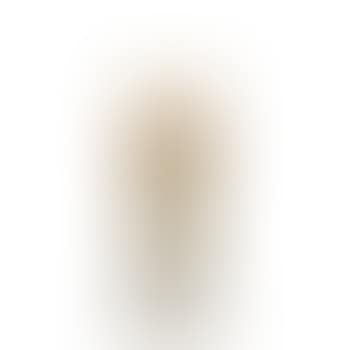 Monnaie du Pape vase ,
1912
-
1913 (preview)