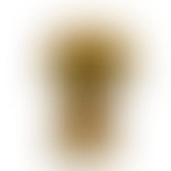 Table light ,
1929 (preview)