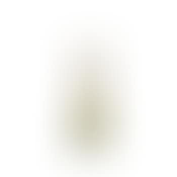 Bois gentil vase ,
1906 (preview)