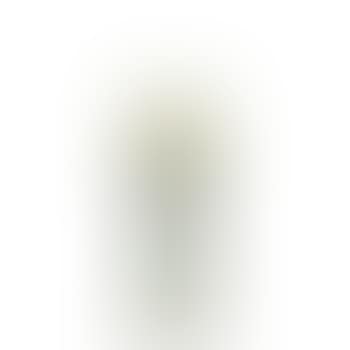 Narcisses goblet ,
1910 (preview)