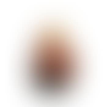 Magnolias vase ,
1913
-
1914 (preview)