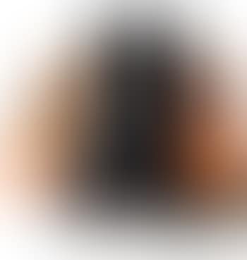 World Wide Fauteuil , (preview)