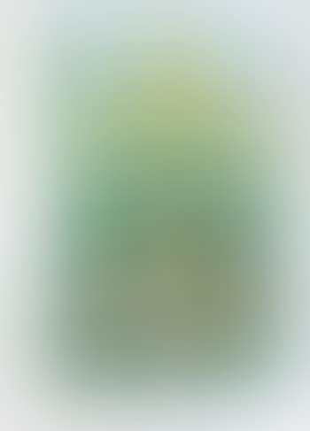 10002 nights Homo Humus come va how do you do (preview)