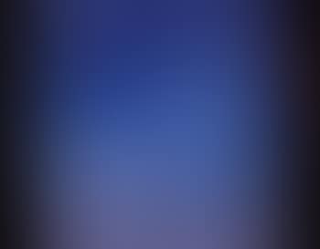 The Night Sky and Flora , (preview)