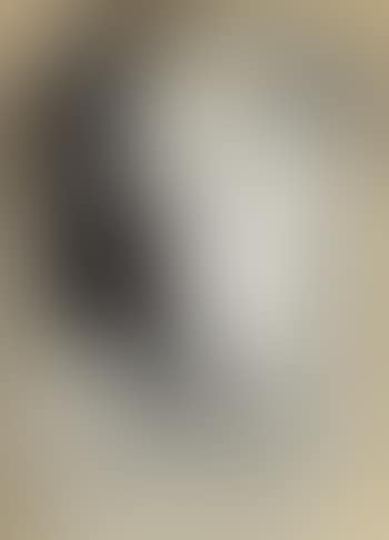 Untitled (Three Girls) ,
1962 (preview)