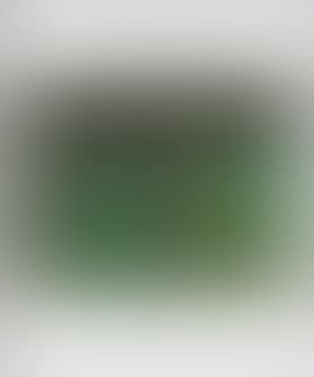 Untitled , (preview)