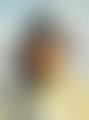 A fisherman from Skagen in sunlight (preview)