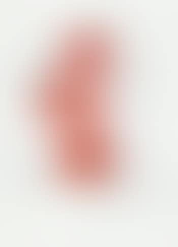 Ohne Titel ,
1974 (preview)