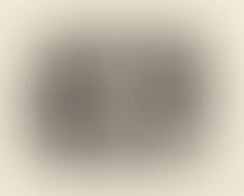 Der Stier (preview)