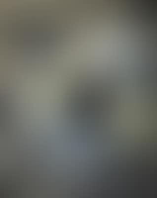 Nature morte ,
1955 (preview)