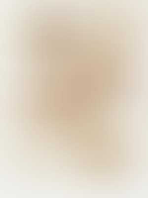Untitled (Adler) (Eagle) (preview)