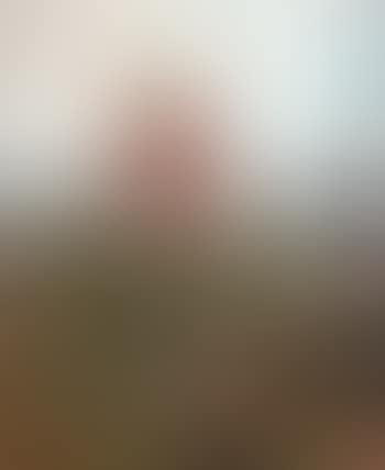 En modern Blenda , (preview)