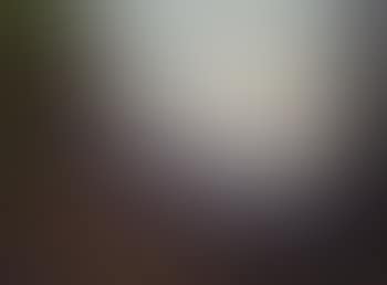 View of a lake (preview)