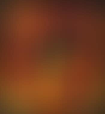 Still Life (preview)