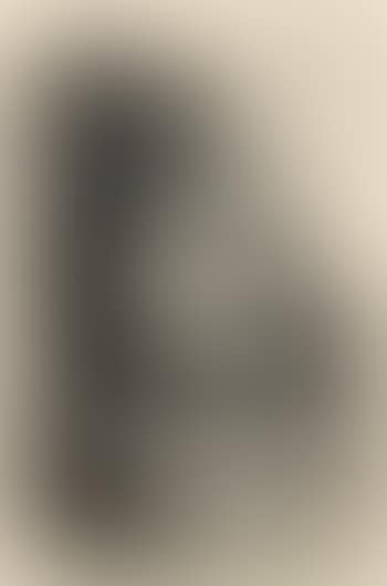 Portrait einer alten Dame (preview)
