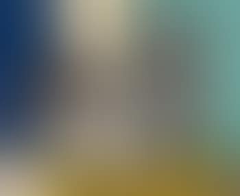Nature morte (preview)