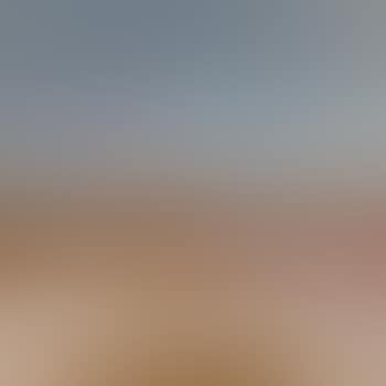 Landscape (preview)
