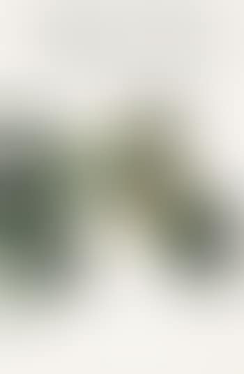 Flower ,
1977 (preview)