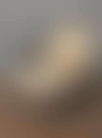 Armchair, no 468, Eve , (preview)