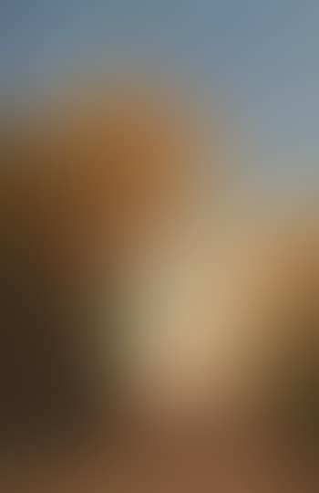 Saint-Pierre, Rome , (preview)