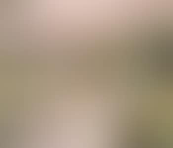 Jardin en France , (preview)