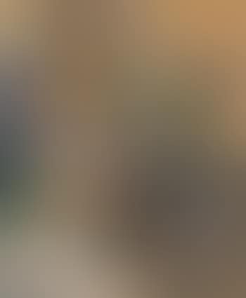 Composition aux fleurs et chat , (preview)