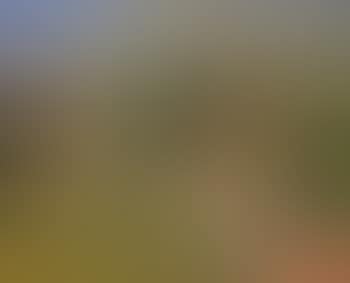 La promenade des enfants , (preview)