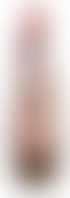 Vase ,
Circa
1910 (preview)