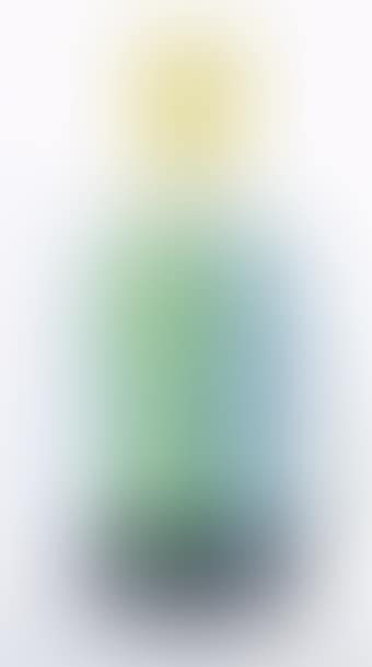 Vase Hollywood ,
Circa
1991 (preview)
