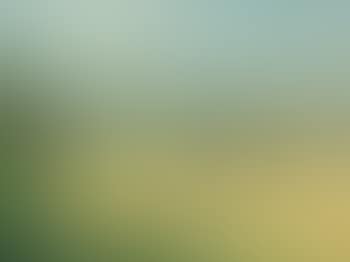 Summer landscape , (preview)