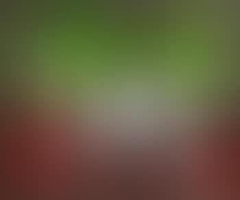 Les Cerises , (preview)