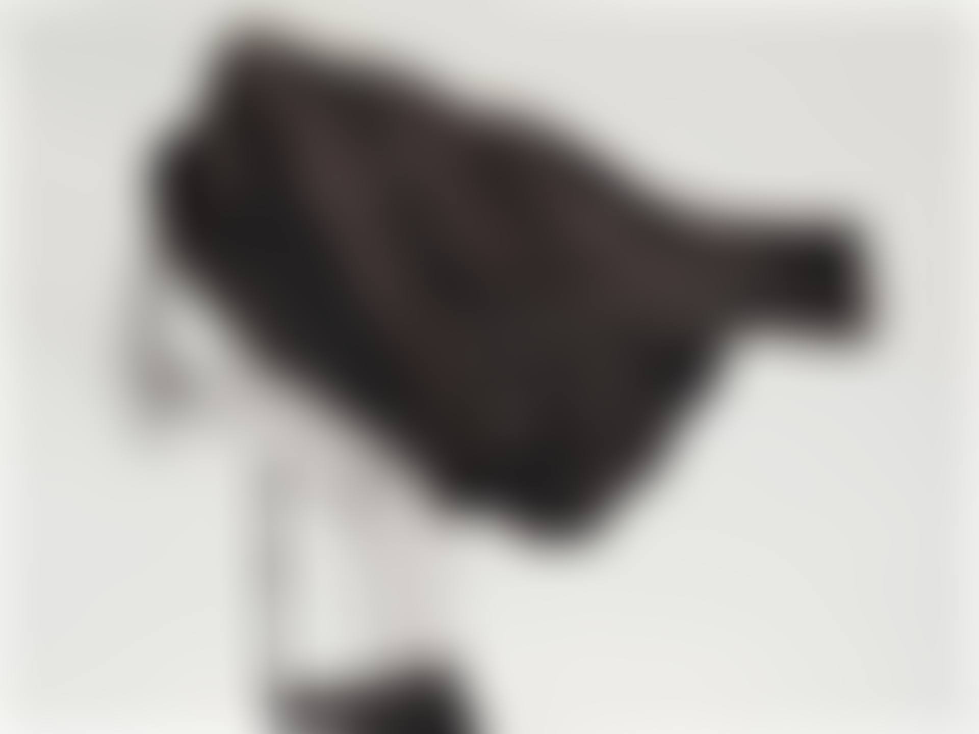 Untitled (Joe Flying Jacket) (from Men in the Cities) (preview)