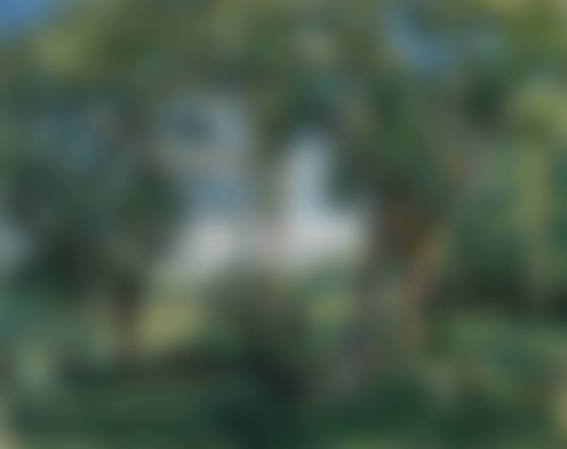 LE REPOS SOUS LES ARBRES (preview)