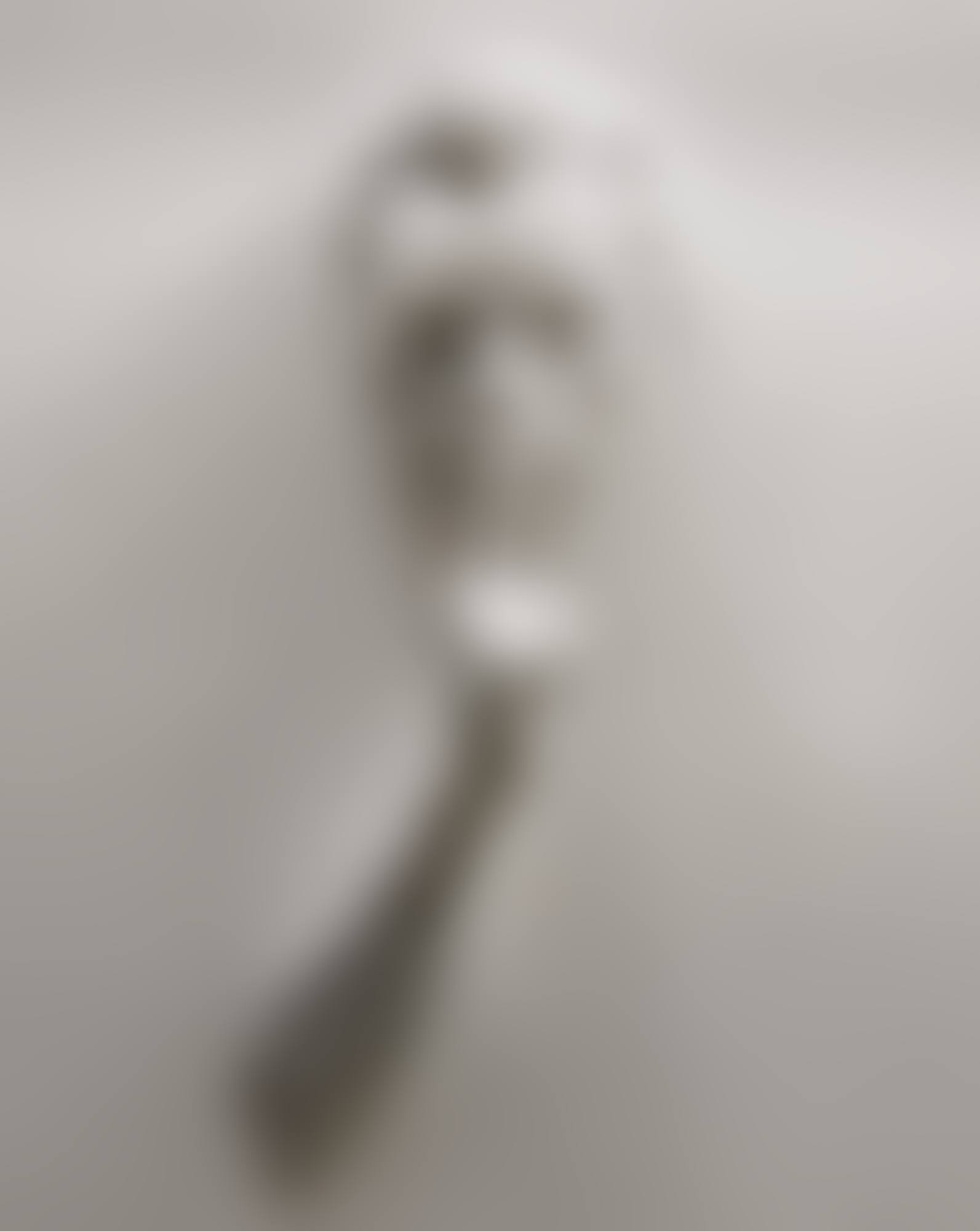 IL SEGRETO (preview)