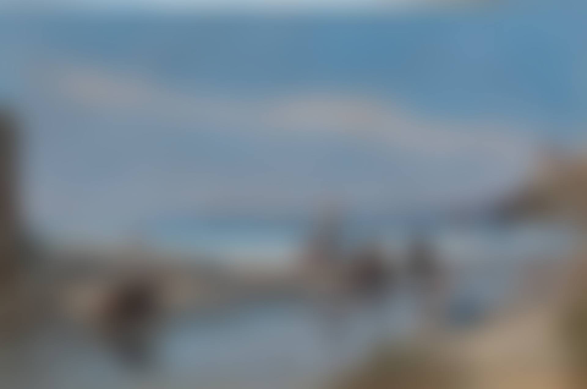 RAPALLO (preview)