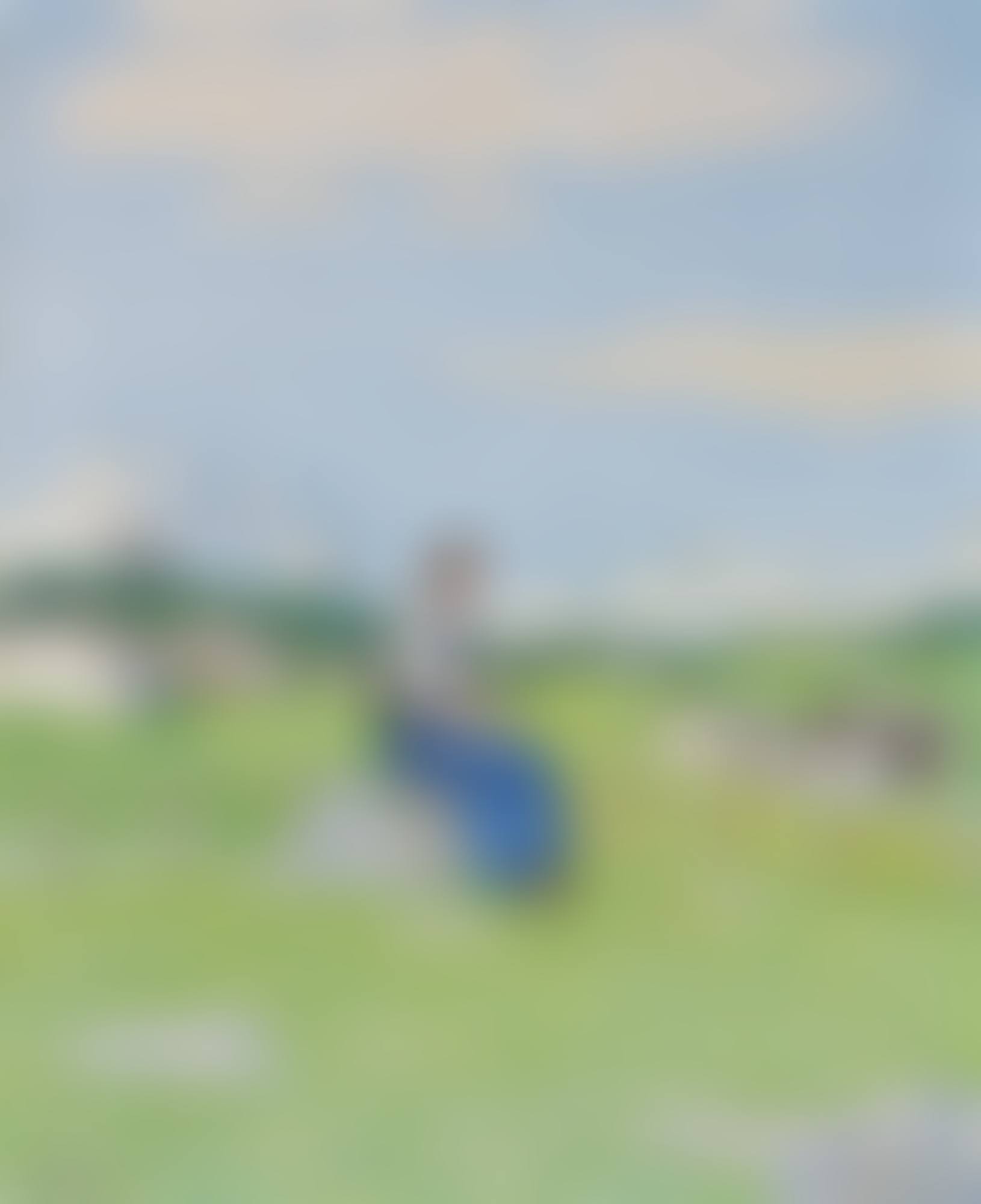 JUNGE ENGADINERIN VOR GEBIRGSLANDSCHAFT (preview)