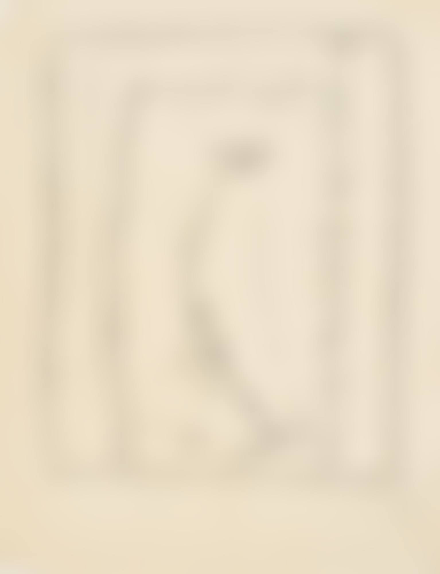 OHNE TITEL (UNTITLED) (preview)