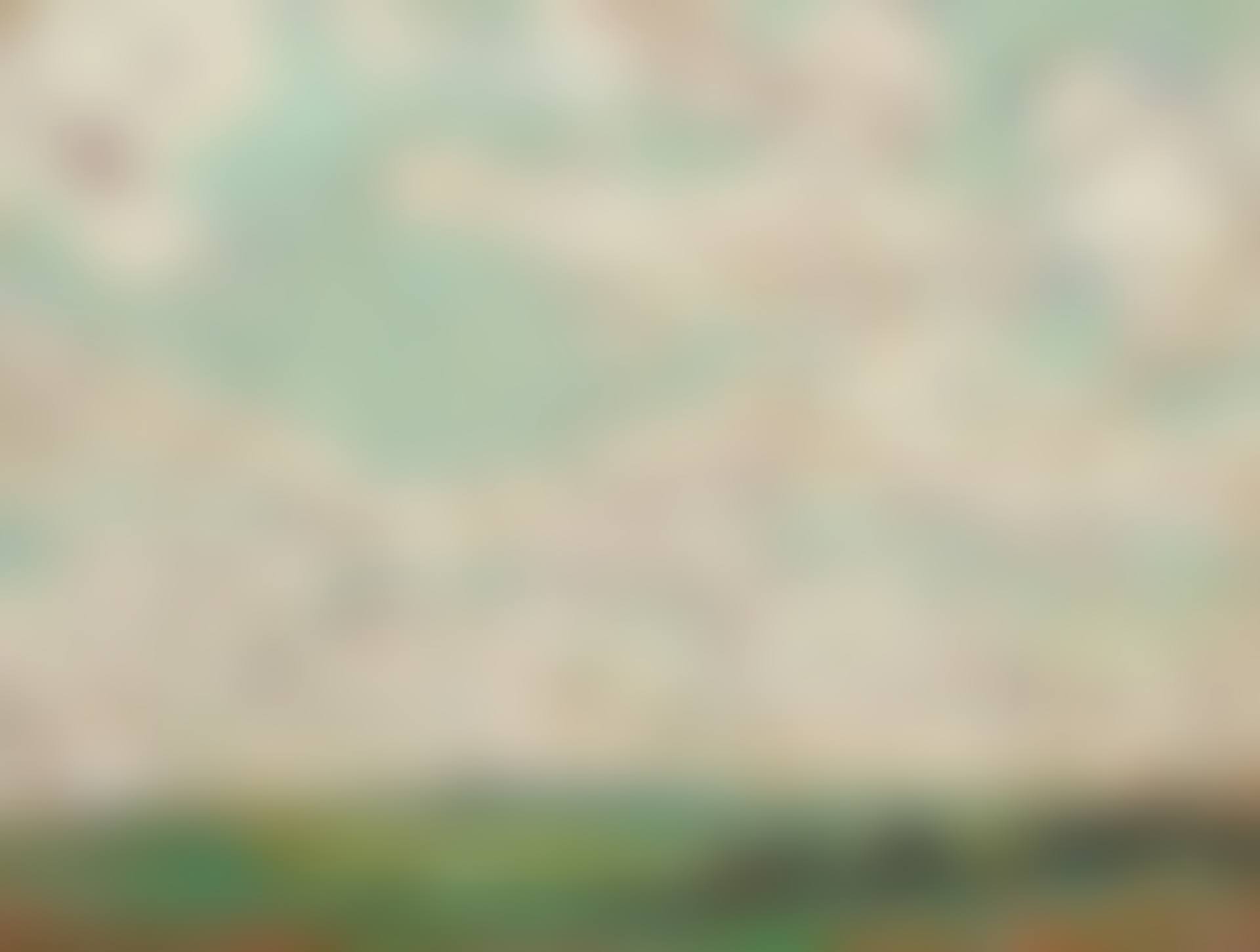 CIEL DE PRINTEMPS, GERBEROY (preview)