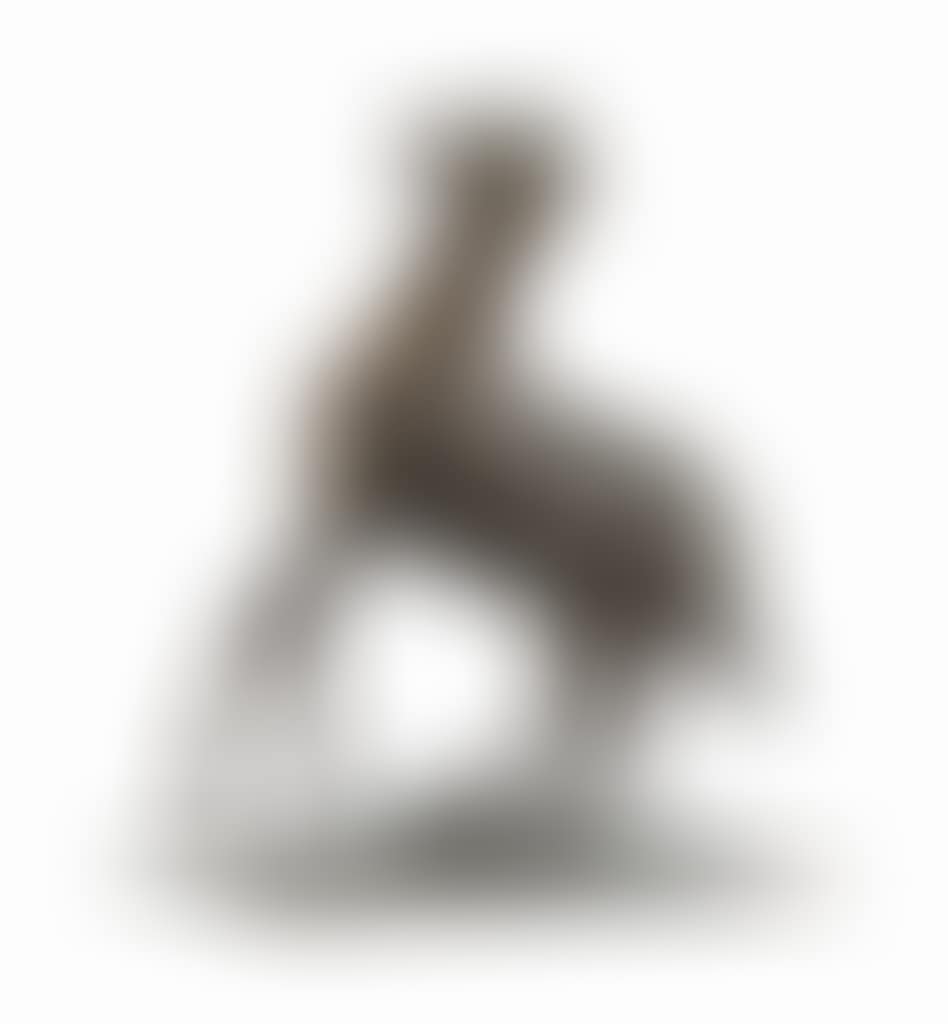 Cheval se cabrant (preview)