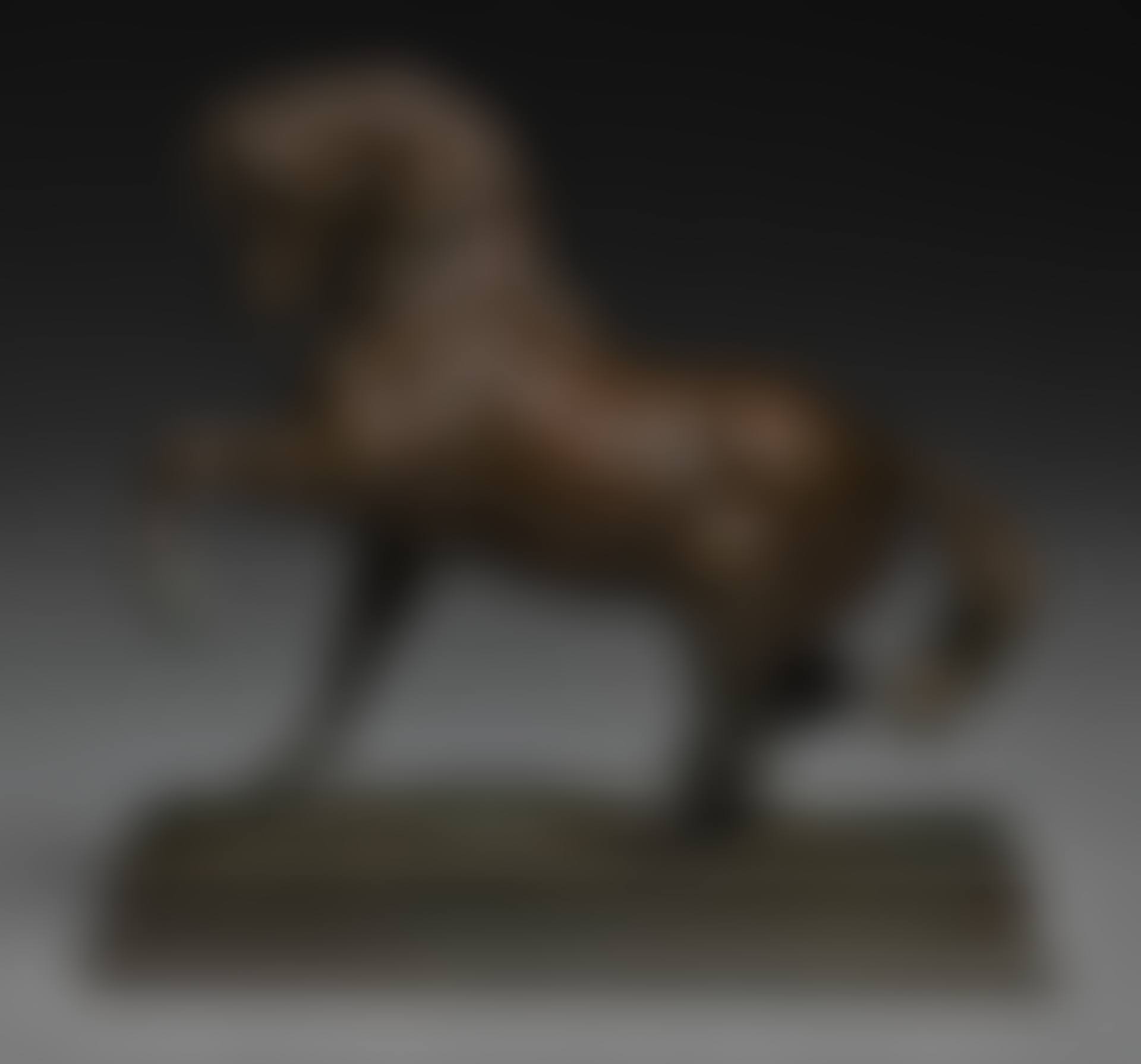 CHEVAL TURC NO2 (ANTÉRIEUR GAUCHE LEVÉ, TERRASSE CARRÉE) (TURKISH HORSE NO2) (preview)