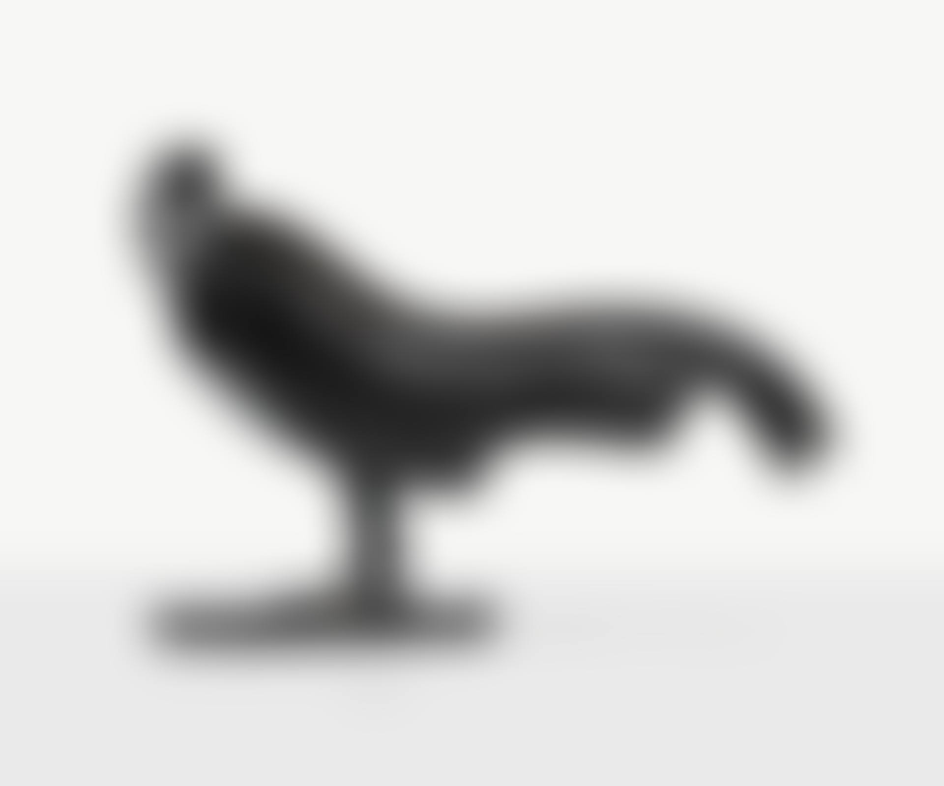 COQ DORMANT (preview)
