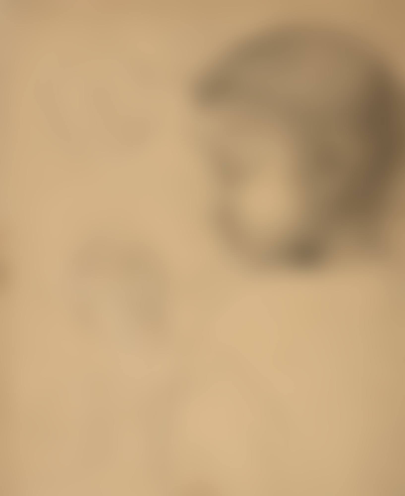 PORTRAITS D'ARÏ REDON (preview)