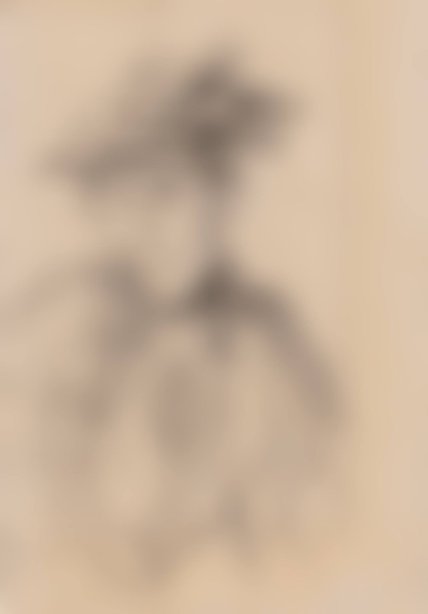 PORTRAIT OF A WOMAN WEARING A HAT (preview)