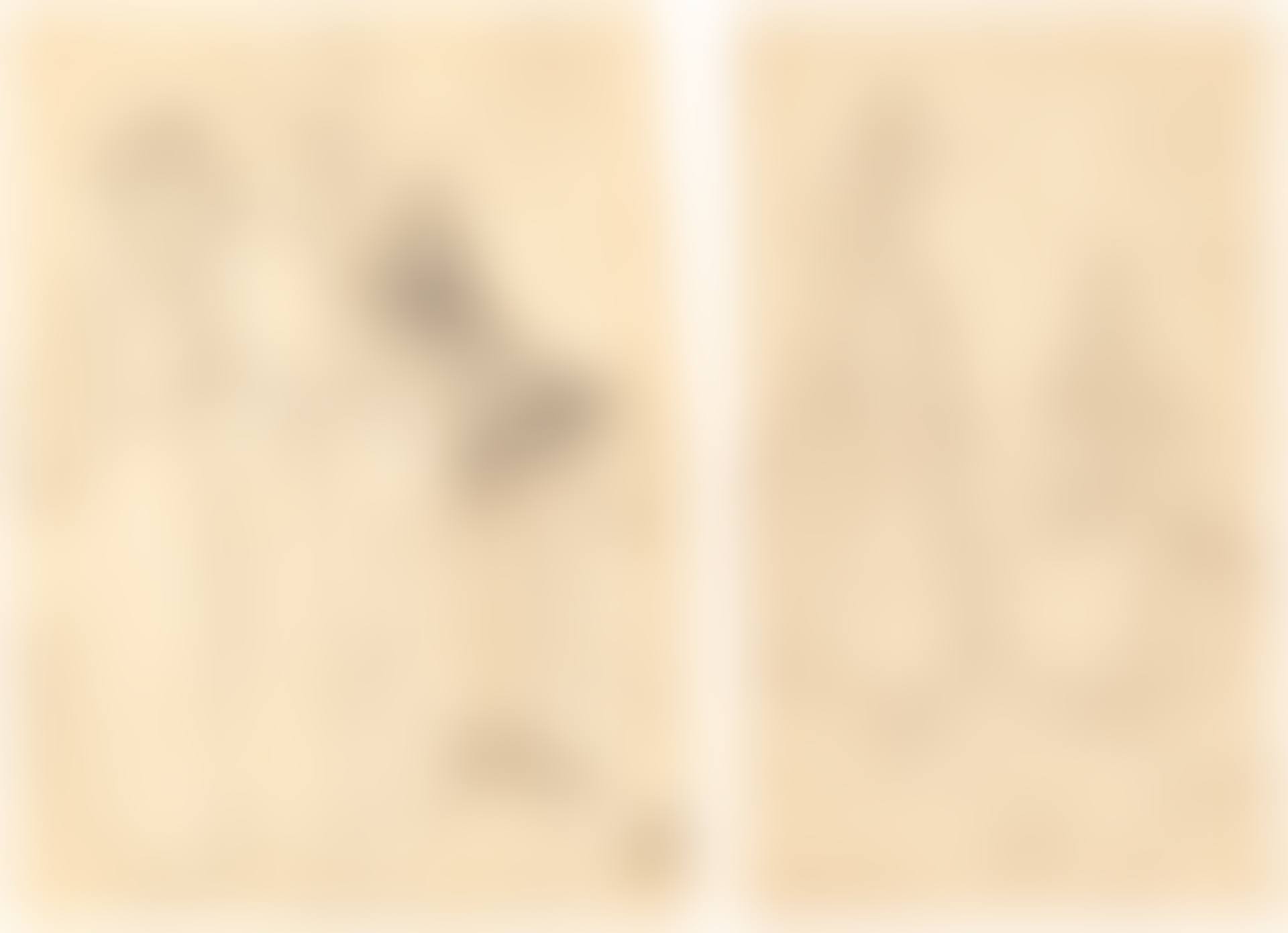 A) JEWISH WOMEN OFFERING FRENCH MEN AND WOMEN FASHION ACCESSORIES; B) COSTUME STUDIE (preview)